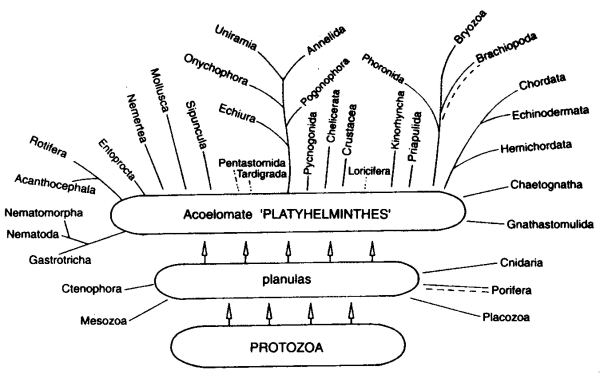Figur 2 med merkelig stamtre