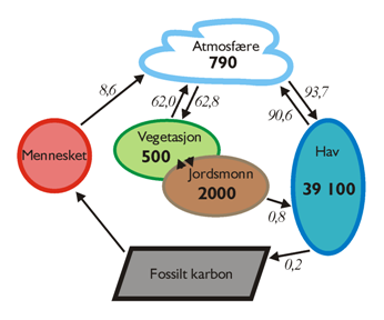 Karbonkretslpet i 2008