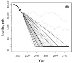 The article’s Fig 4(ii)